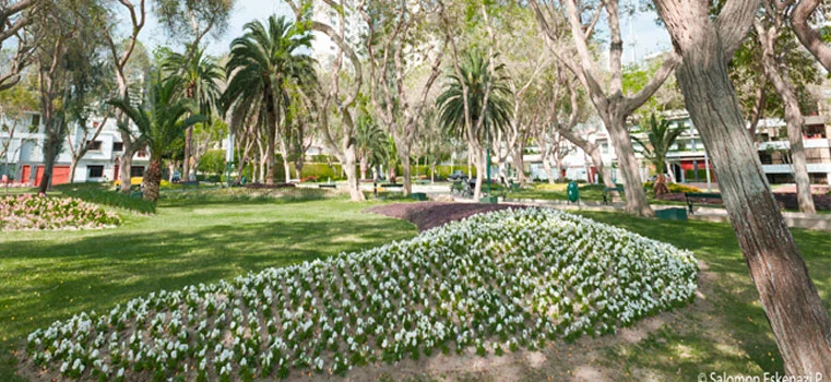 Hotel Roosevelt San Isidro